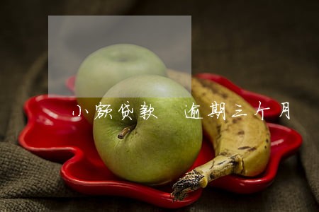 小额贷款 逾期三个月 小额贷款 逾期三个月